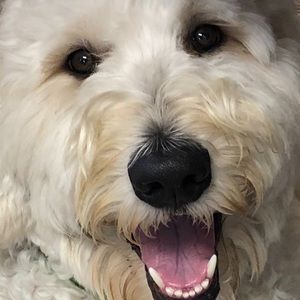 Meet your Posher, Kristin